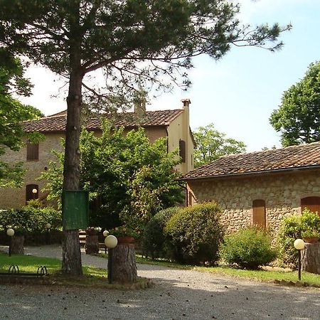 Agriturismo Il Prato Palaia Buitenkant foto